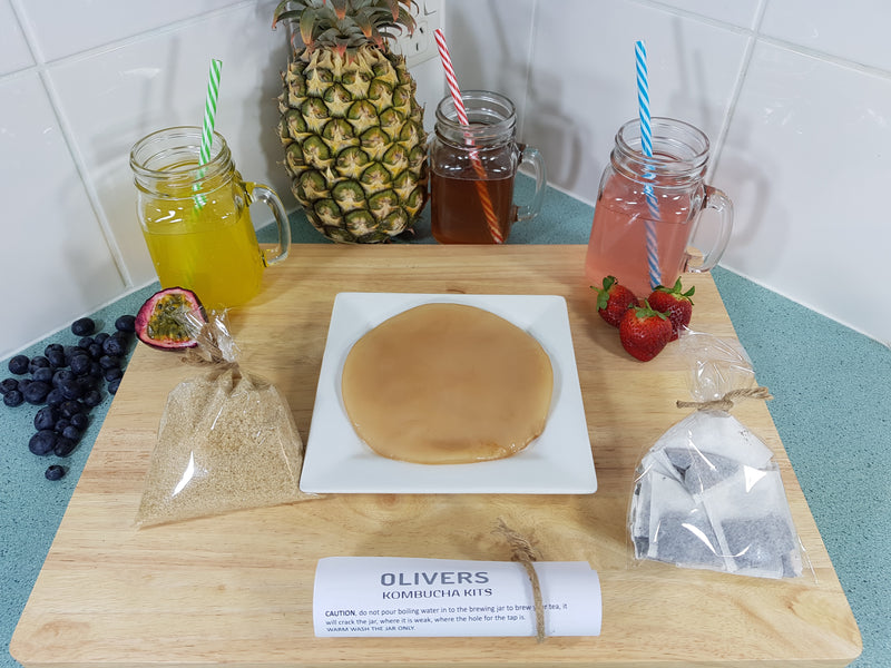 Organic Kombucha Scoby, 200ml Liquid Starter Tea, Easy To Read Instructions And Free Delivery !!!!