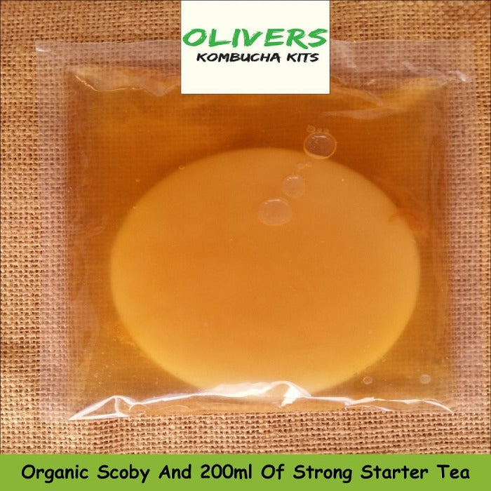 Organic Kombucha Scoby, 200ml Liquid Starter Tea, Easy To Read Instructions And Free Delivery !!!!