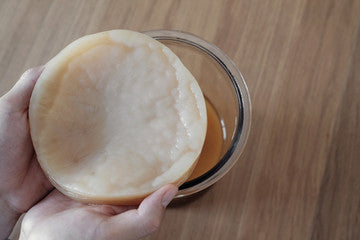 Organic Kombucha Scoby, 200ml Liquid Starter Tea, Easy To Read Instructions And Free Delivery !!!!